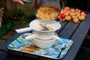 SaveApples3_3786-web