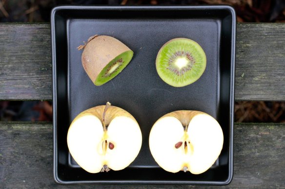 KiwiAppleCut_4244croppedweb