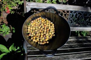 PlumsYellow2012_0661-web