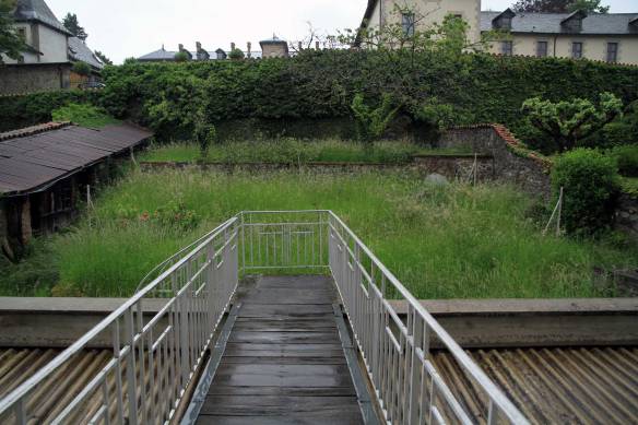 Patience3-IMG_6035-web