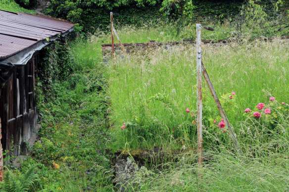 Patience6-IMG_6116-web