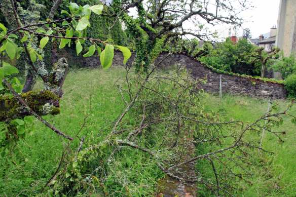 Tempest2-IMG_6102-web