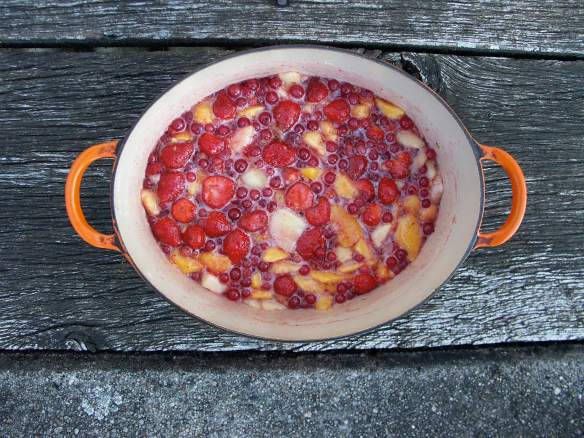 PeachStrawberry2-PICT0048-web