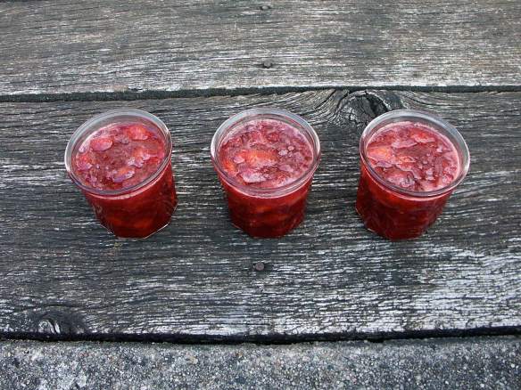 PeachStrawberry3-PICT0051-web