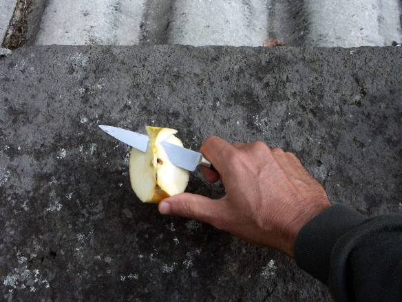 Simplest_Compote_Recipe_Core_PICT0046-web