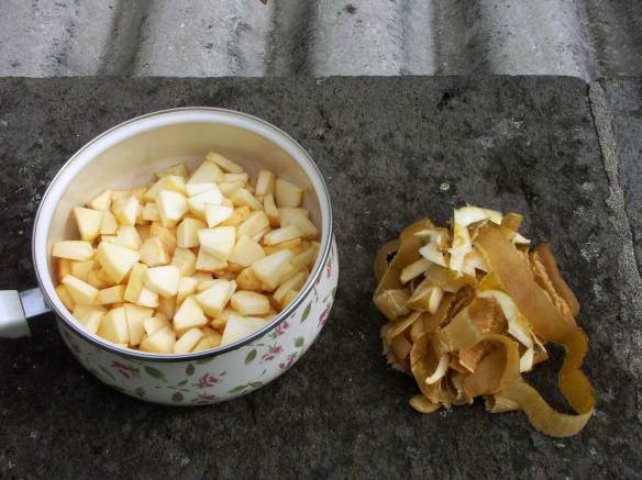 Simplest_Compote_Recipe_Morsels_PICT0048-web