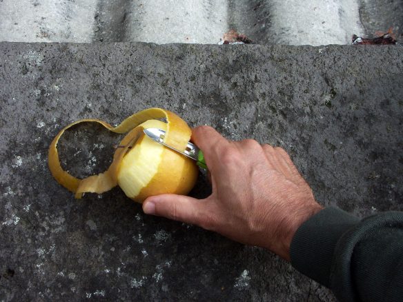 Simplest_Compote_Recipe_Peel_PICT0047-web