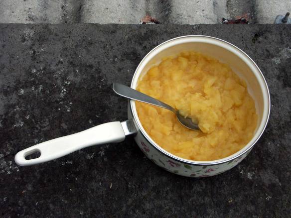 Simplest_Compote_Recipe_Result_PICT0049-web