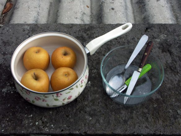 Simplest_Compote_Recipe_Utensils_PICT0043-web