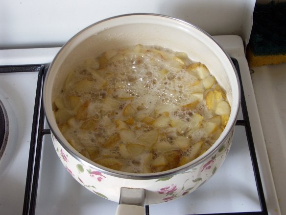 Simplest_Jam_Recipe_Cook_PICT0043-web