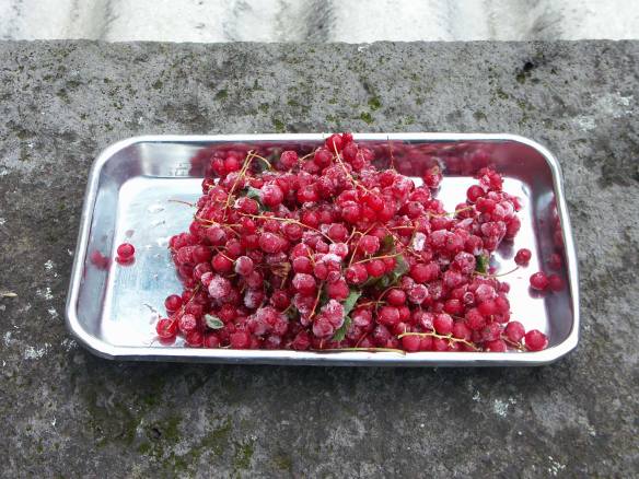 Simplest_Jam_Recipe_Red_Currant_PICT0035-web