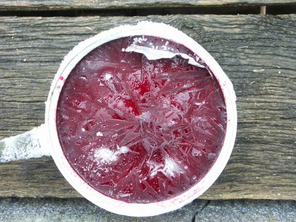 Frozen_Raspberry_Juice_PICT0042-web