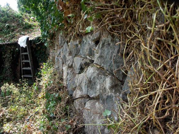 Renovation-PICT0053-web