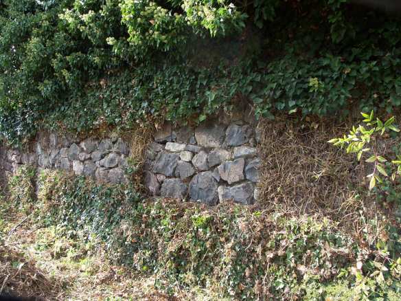 Renovation_PICT0049-web