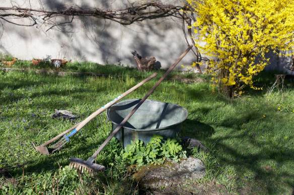 LateAfternoon_MG_0557