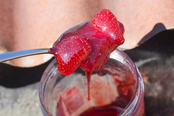 Strawberry_Jam_2015_MG_1685-2