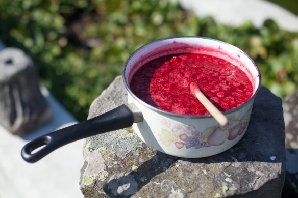 Muslin_Sieve_MG_3223