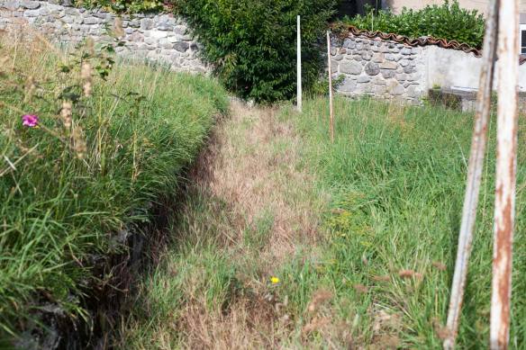 BackToJungle_MG_3783