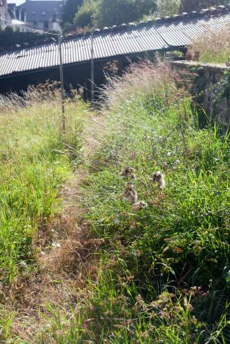 BackToJungle_MG_3790