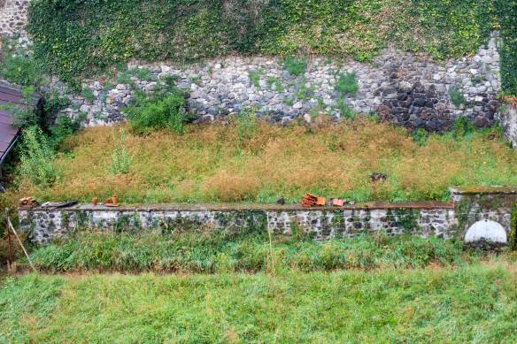 BackToJungle_MG_3943