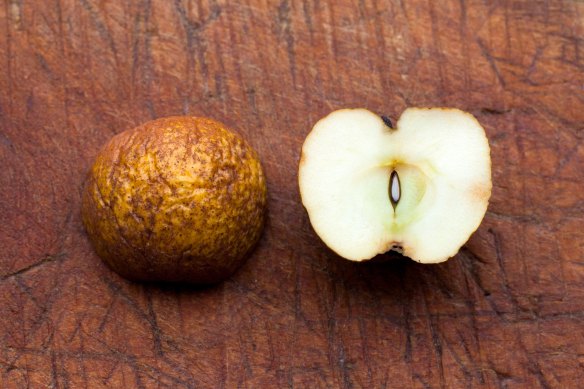 CoupePommeFletrie_MG_5427