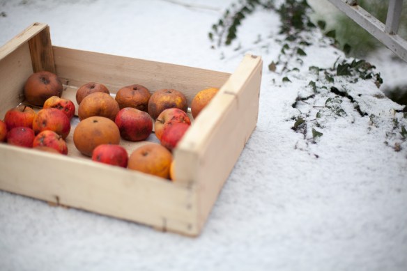 DernieresPommes_MG_5402