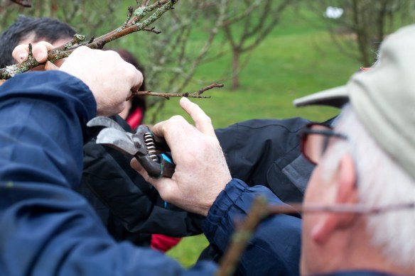 StageTaille28fev16_MG_5501