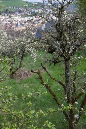 PoorCondition_MG_6563