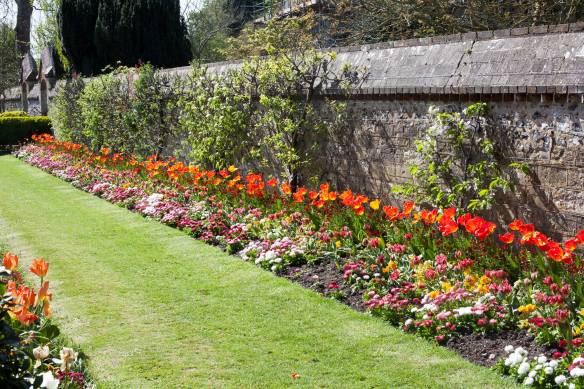 Southover_Grange_Gardens_MG_7020-2