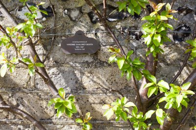 SouthoverGrangeGardens_MG_7033