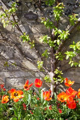 SouthoverGrangeGardens_MG_7035