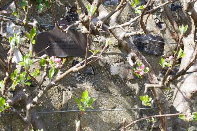 SouthoverGrangeGardens_MG_7043