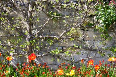 SouthoverGrangeGardens_MG_7047