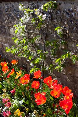 SouthoverGrangeGardens_MG_7110