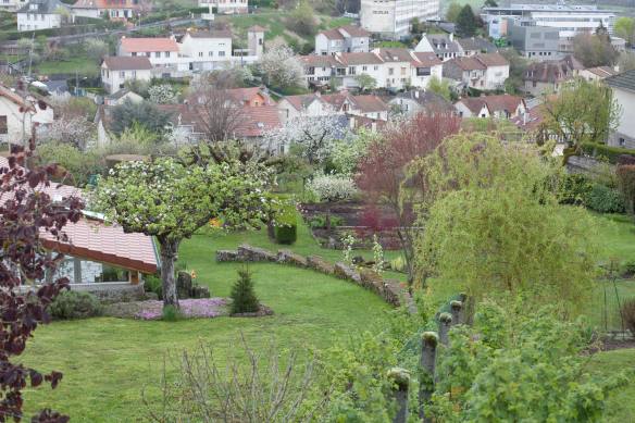 TidyAurillac2_MG_6629