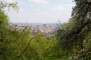 MoreSecluded2_MG_6887