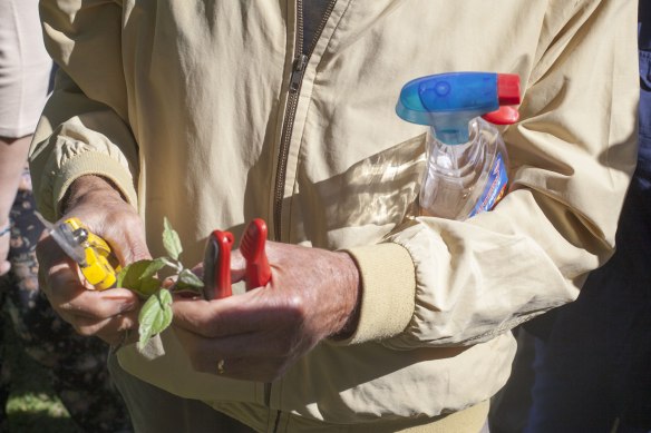 Summer_Pruning_MG_8603