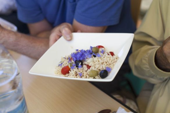 Summer_Pruning_MG_8624
