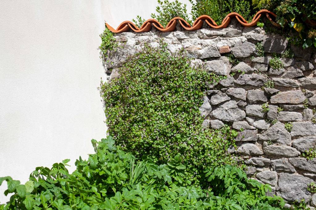 Ruine de Rome sur un mur adjacent après le bétonnage du grand mur