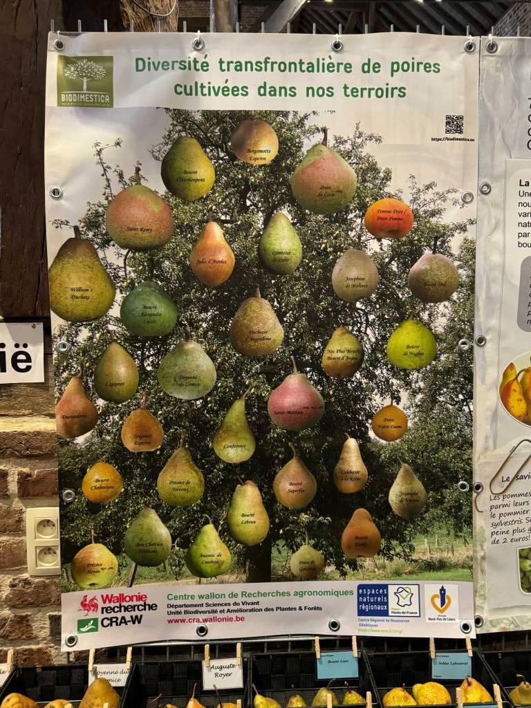 Poster showing tens of different pears