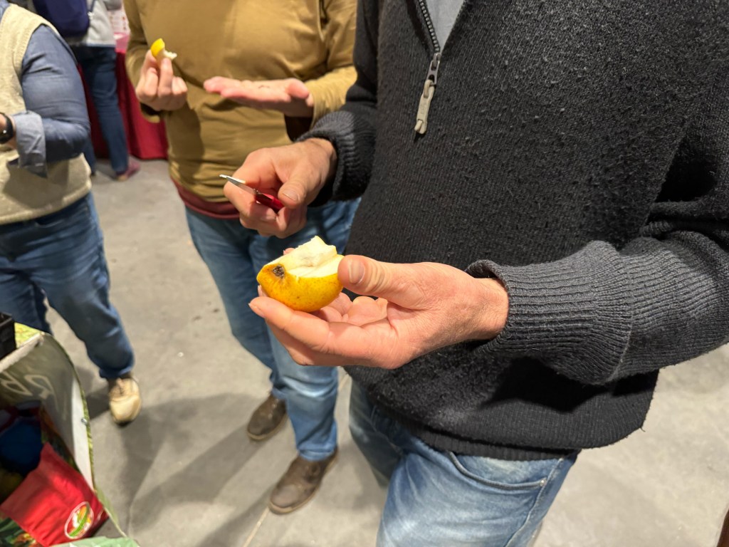 Person holding a half eaten pear
