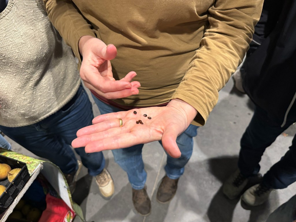 Person showing pear pips