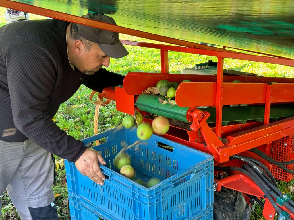 Apples on a treadmill