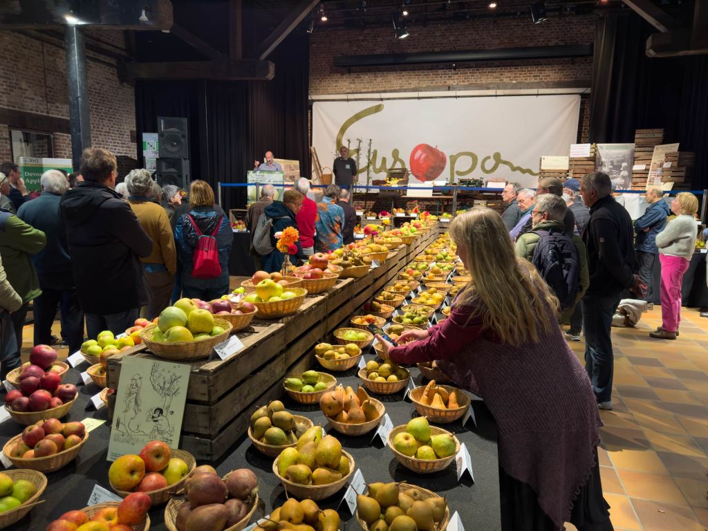 Apples and pears on display