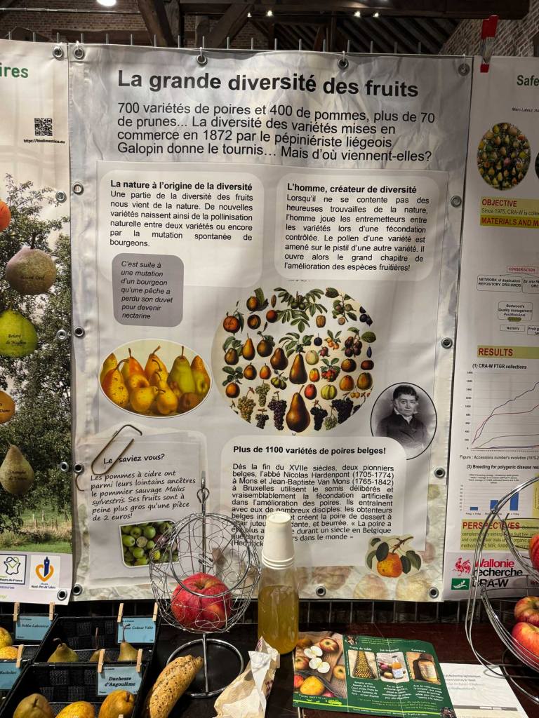 Poster explaining biodiversity generation