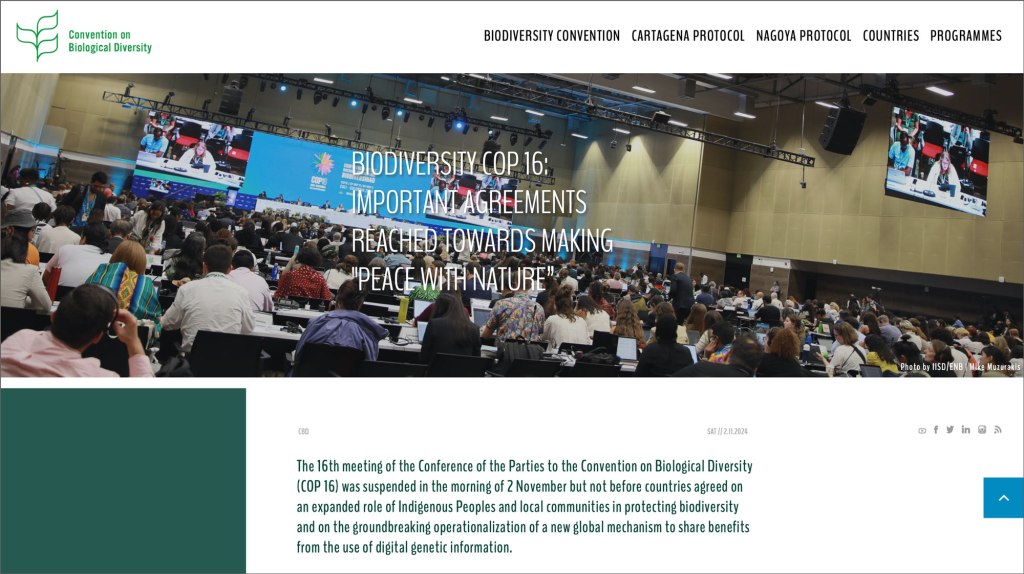 Screenshot of a webpage